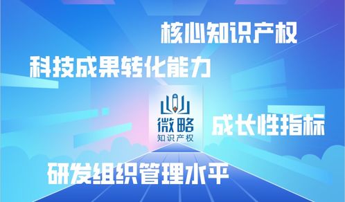 企業(yè)為何選擇代理機(jī)構(gòu)申報高新技術(shù)企業(yè) 優(yōu)勢與模型設(shè)計解析