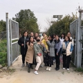 感受田園風光,體驗采摘樂趣——建為歷保“三?八”婦女節草莓采摘活動